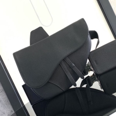 Dior Saddle Bags